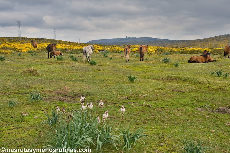 Faro de Corrubedo sobre el Atlántico