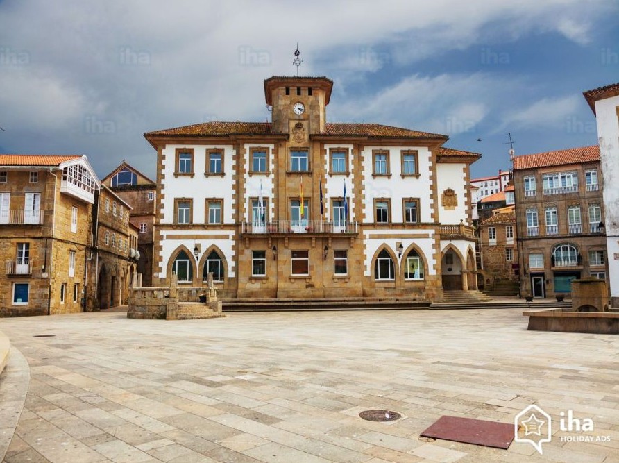Caballos salvajes pastando en la sierra do Barbanza