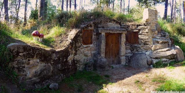 Pinar autóctono en el interior de la Illa da Toxa